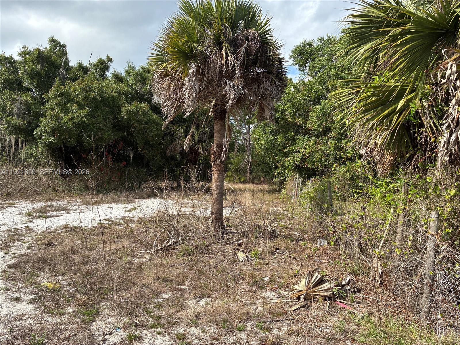   /   кв.футов $ 2025-11-27 0 Фото