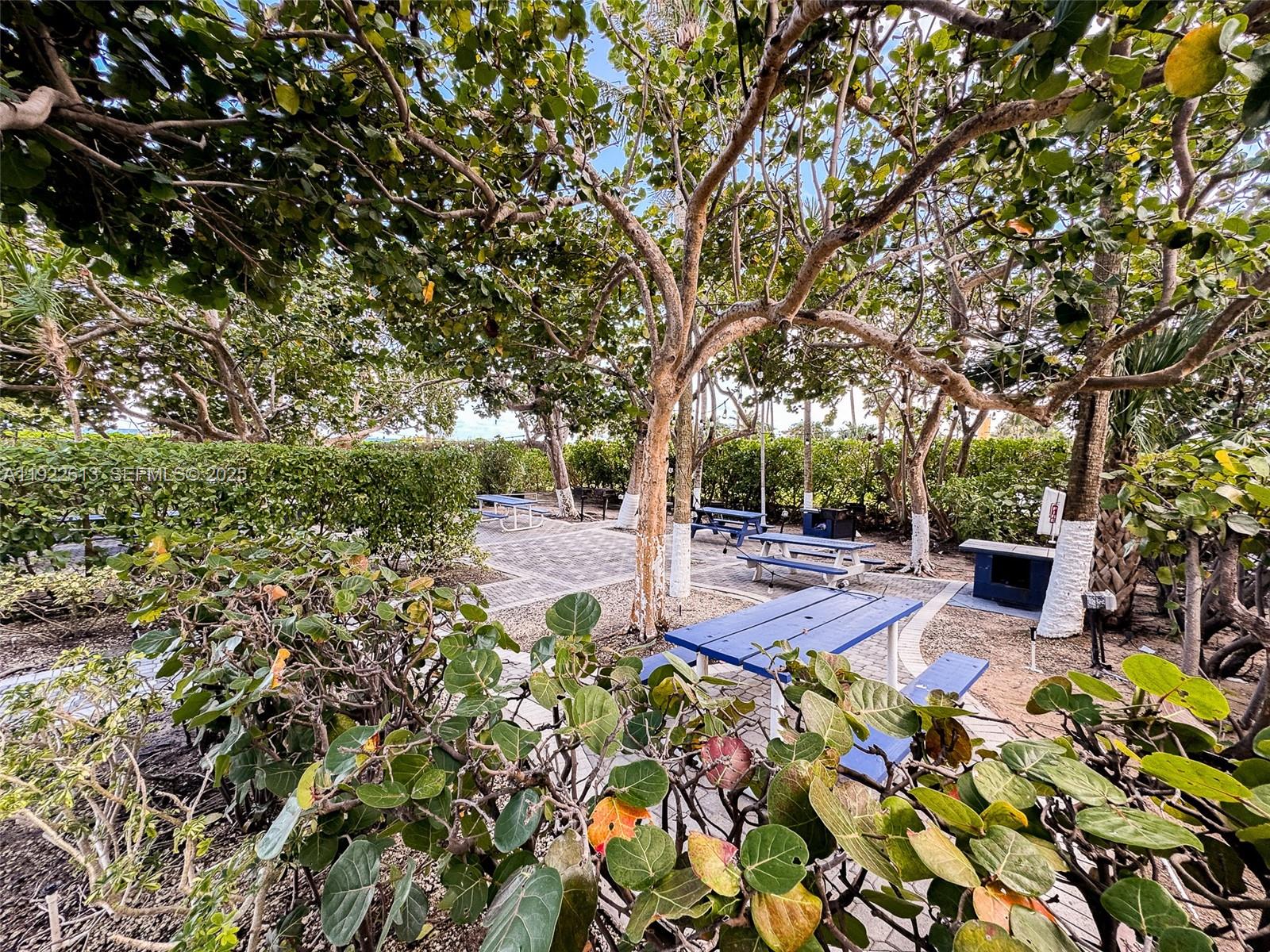 Photo of 8877 Collins Ave #809, Surfside, Florida, 33154 - Barbecue