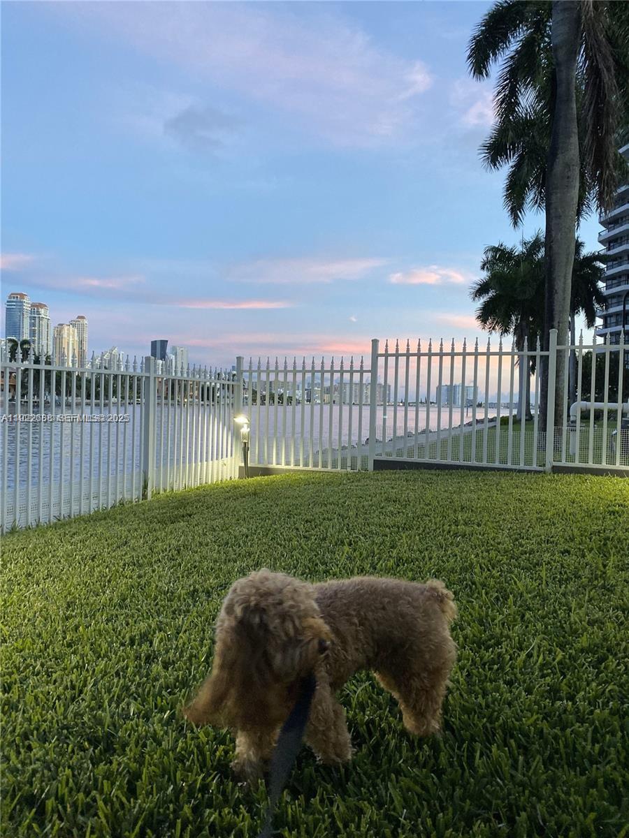 Photo of 3500 Mystic Pointe Dr  #1206, Aventura, Florida, 33180 - Dog Park.