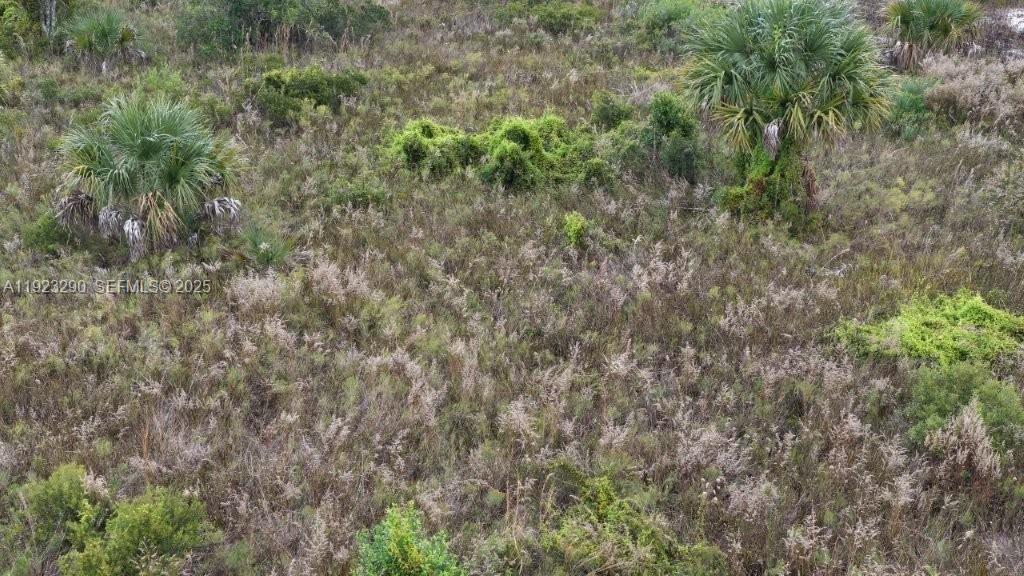   /   sq. ft. $ 2025-12-01 0 Photo