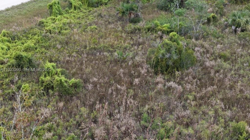   /   sq. ft. $ 2025-12-01 0 Photo