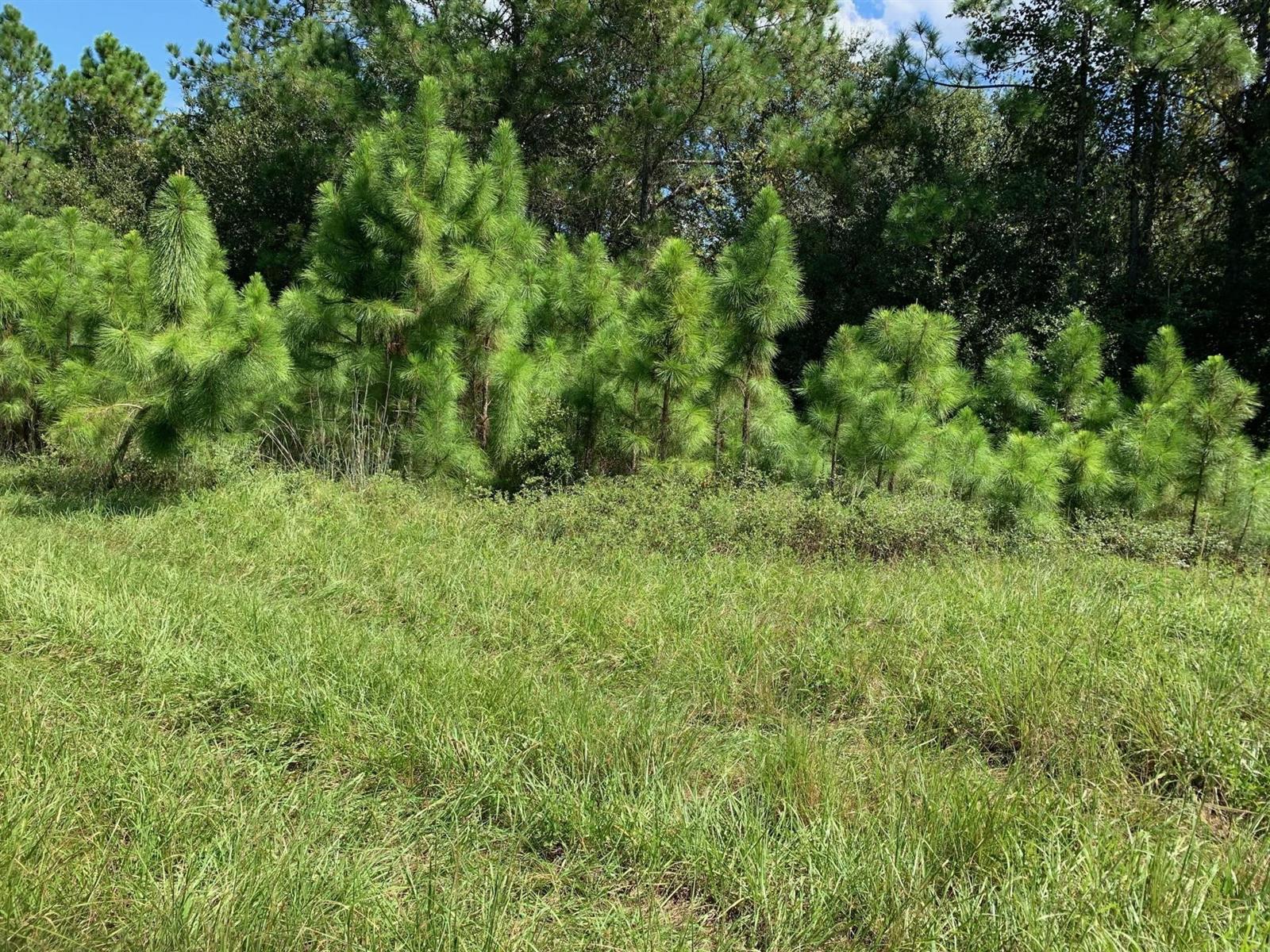 See details / 0 sq. ft. $ 2026-02-23 0 Photo