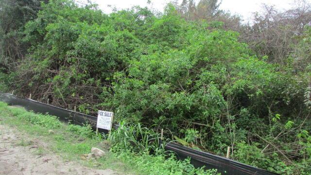 Ver detalles / 0 sq. ft. $ 2025-12-04 0 foto