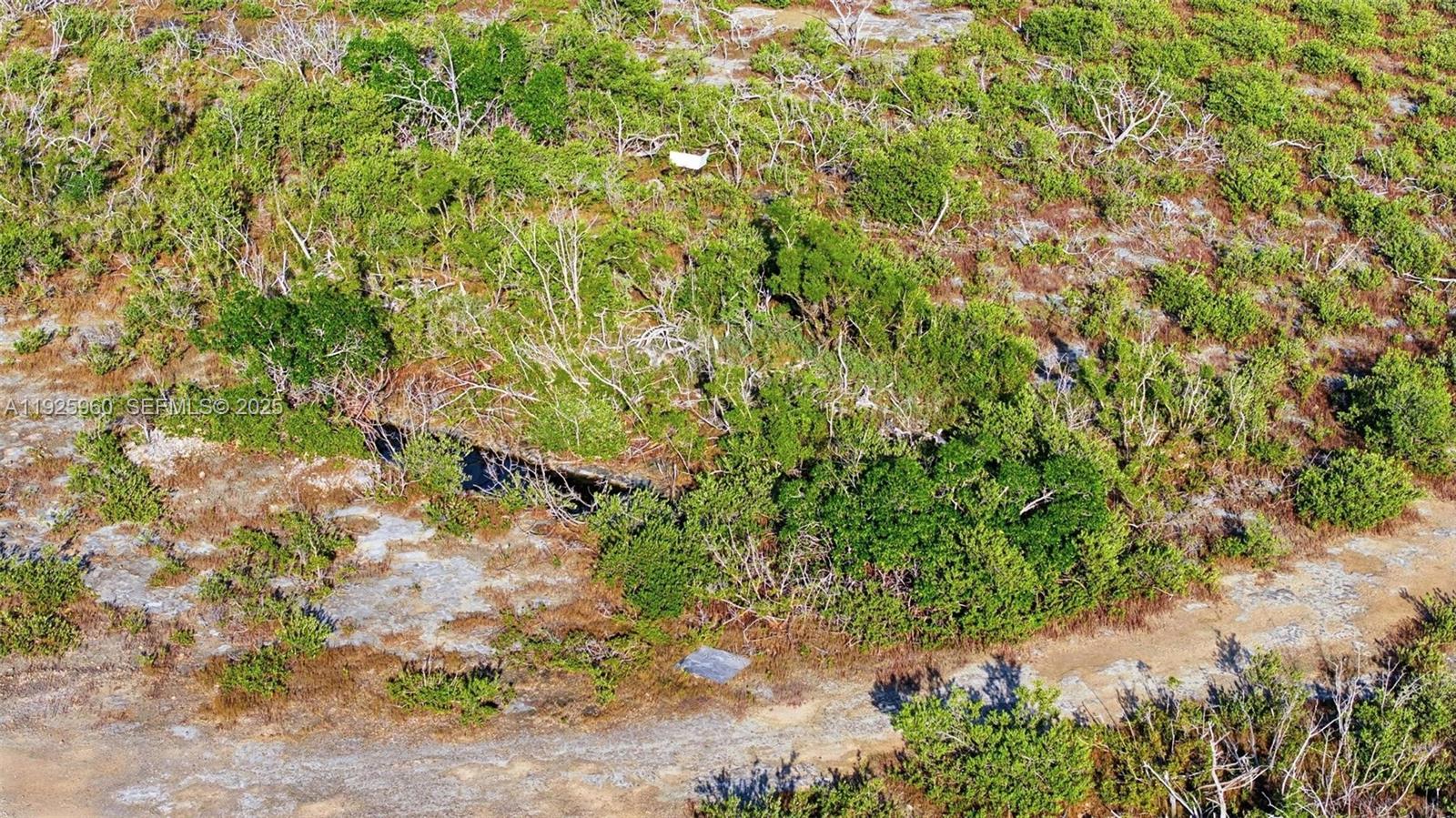 Ver detalles / sq. ft. $ 2025-12-05 0 foto