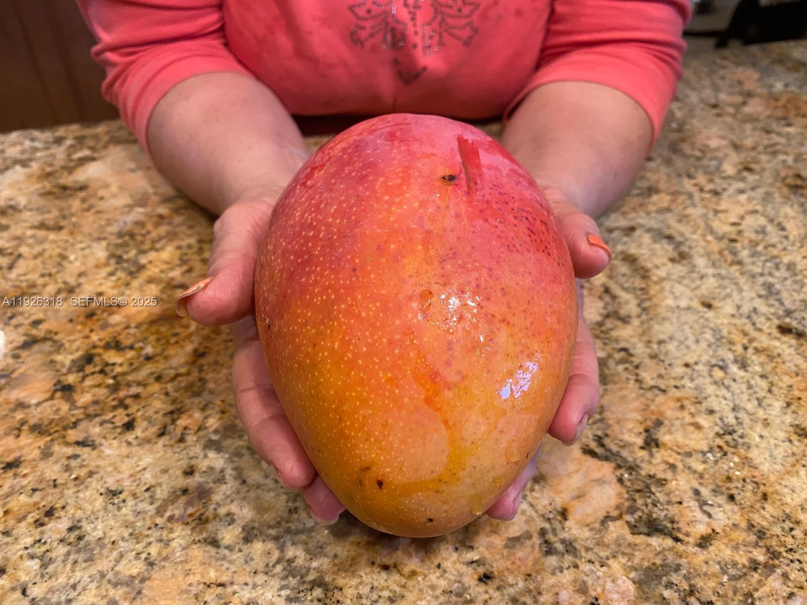 Ver detalles / sq. ft. $ 2025-12-06 0 foto