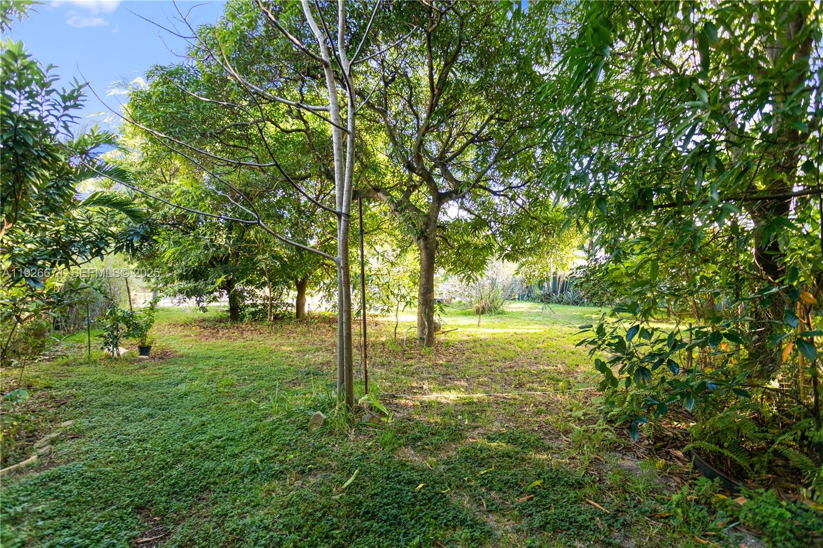 Ver detalles / sq. ft. $ 2025-12-07 0 foto