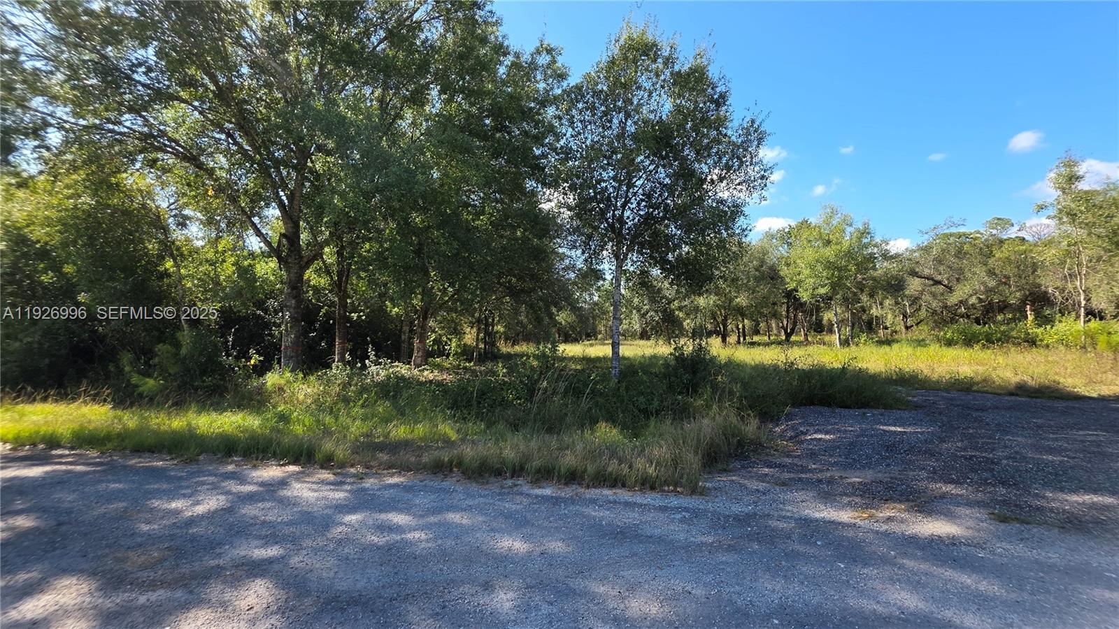 See details / sq. ft. $ 2025-12-08 0 Photo