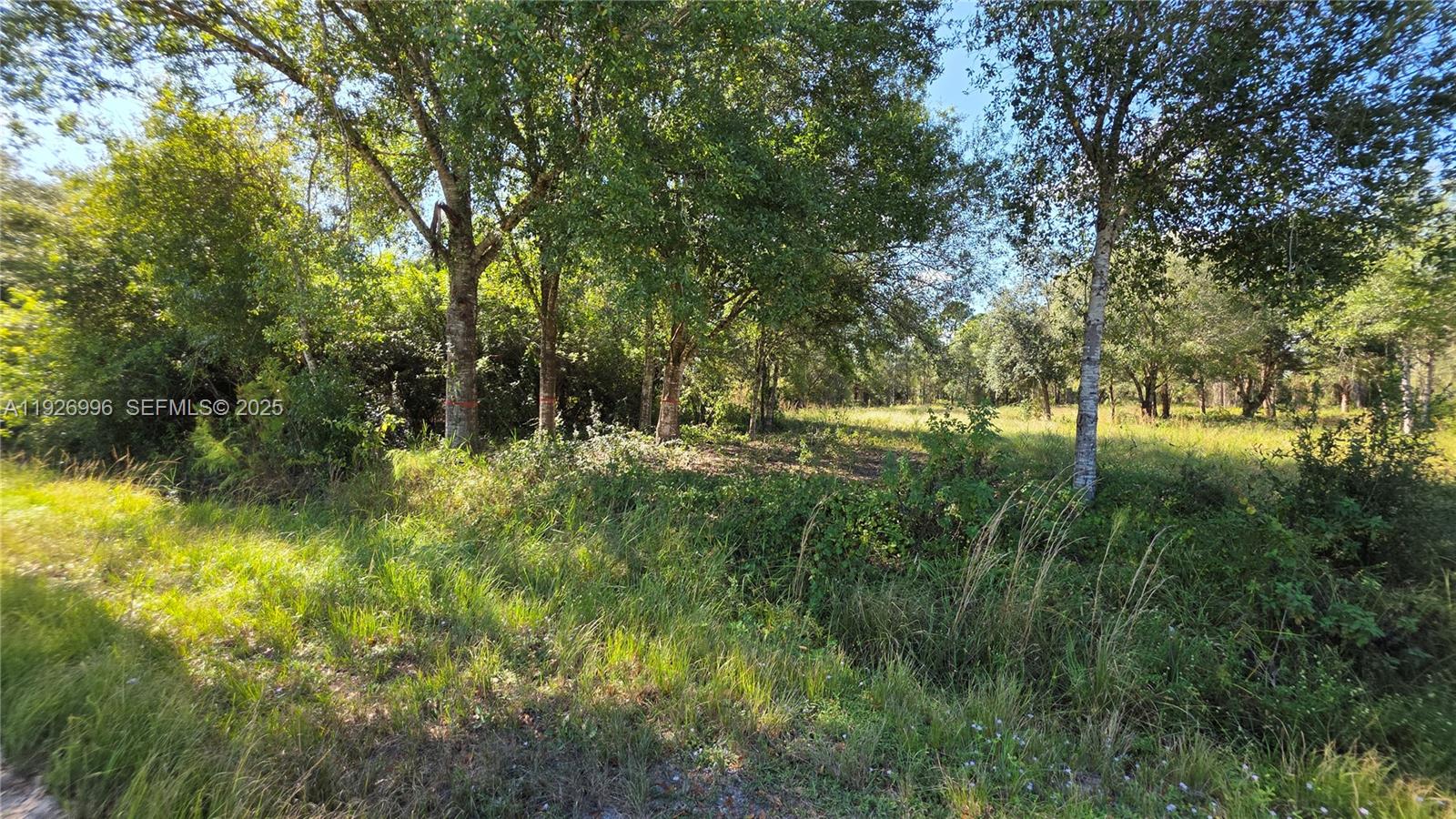 See details / sq. ft. $ 2025-12-08 0 Photo