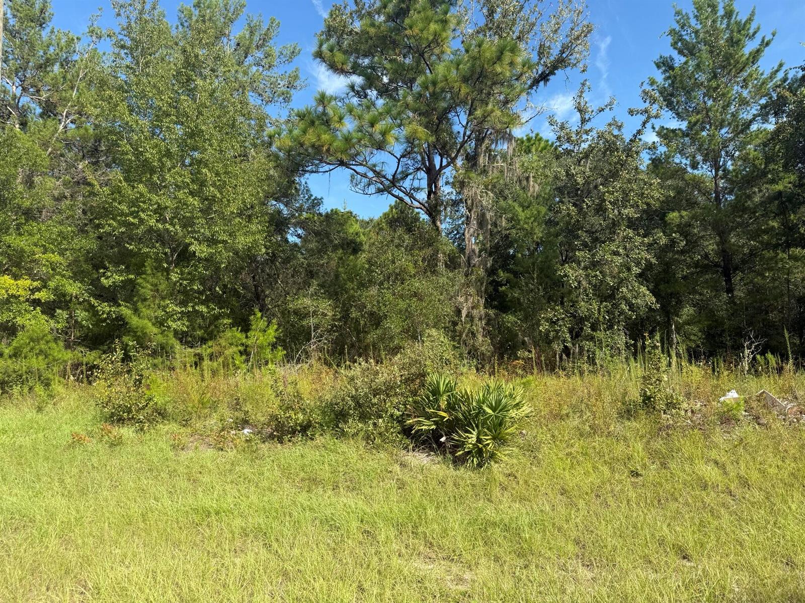   / 0  sq. ft. $ 2026-06-19 0 foto