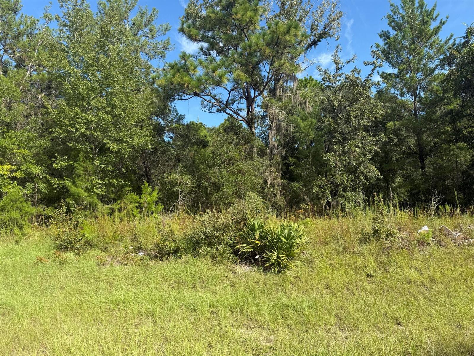   / 0  sq. ft. $ 2026-06-19 0 foto
