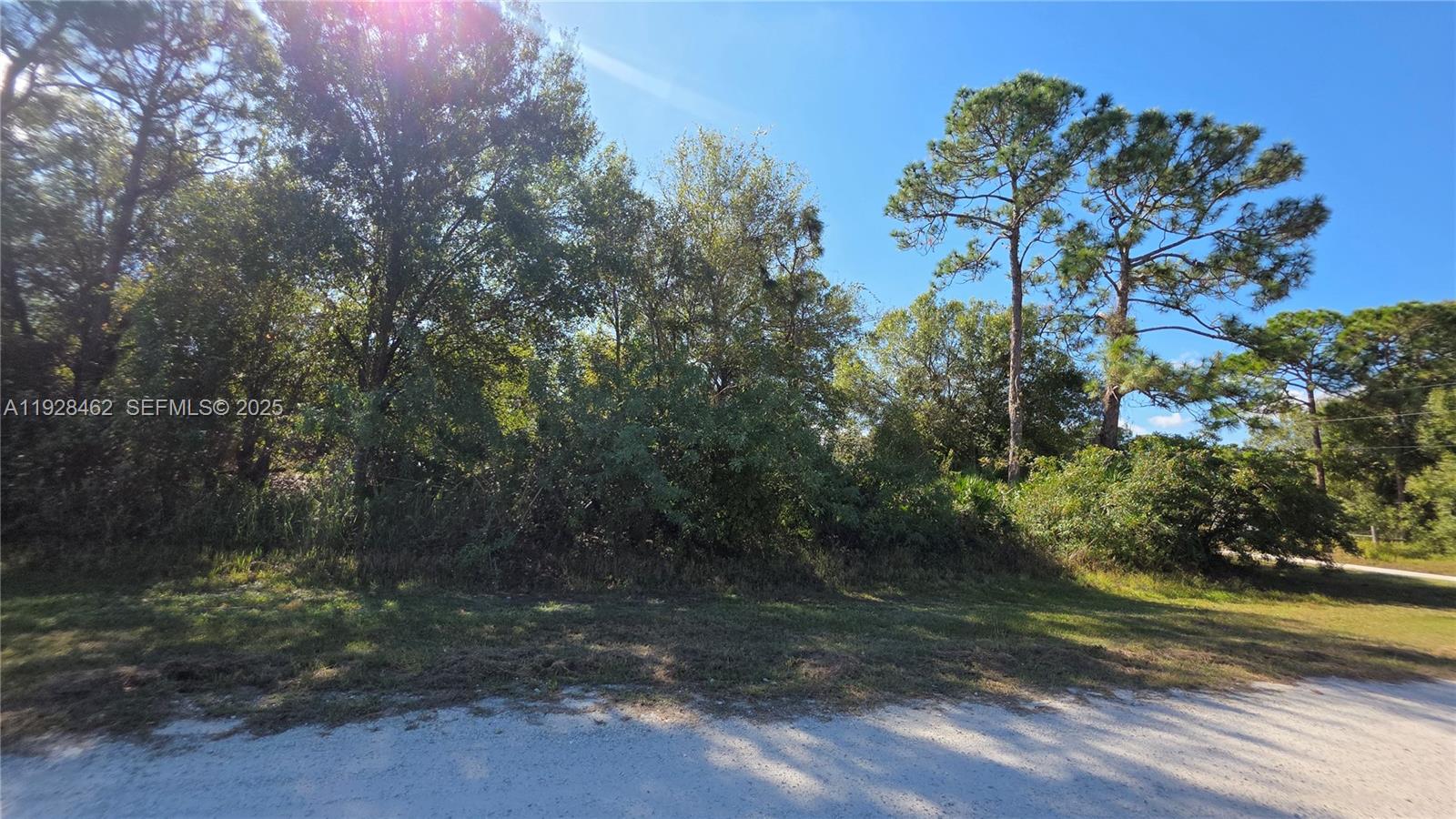 Подробнее / кв.футов $ 2025-12-10 0 Фото