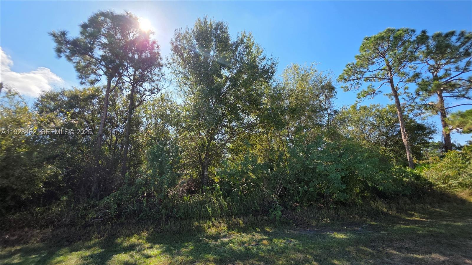 Подробнее / кв.футов $ 2025-12-10 0 Фото