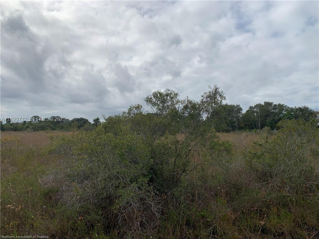 See details / sq. ft. $ 2025-12-12 0 Photo