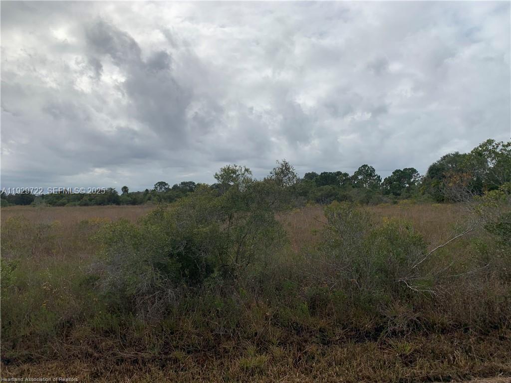 See details / sq. ft. $ 2025-12-12 0 Photo