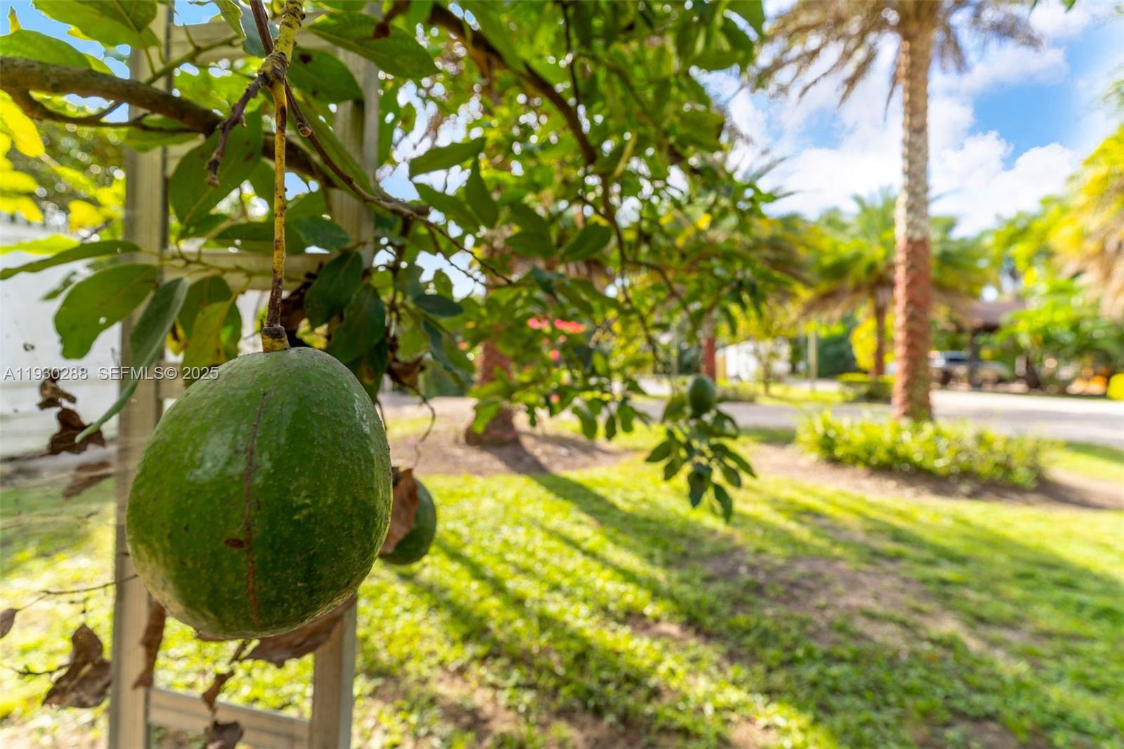 Подробнее / 3335 кв.футов $ 2025-12-13 0 Фото