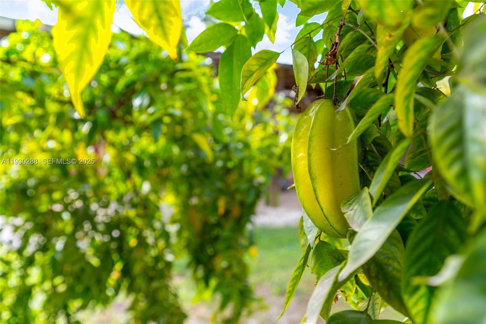 Подробнее / 3335 кв.футов $ 2025-12-13 0 Фото