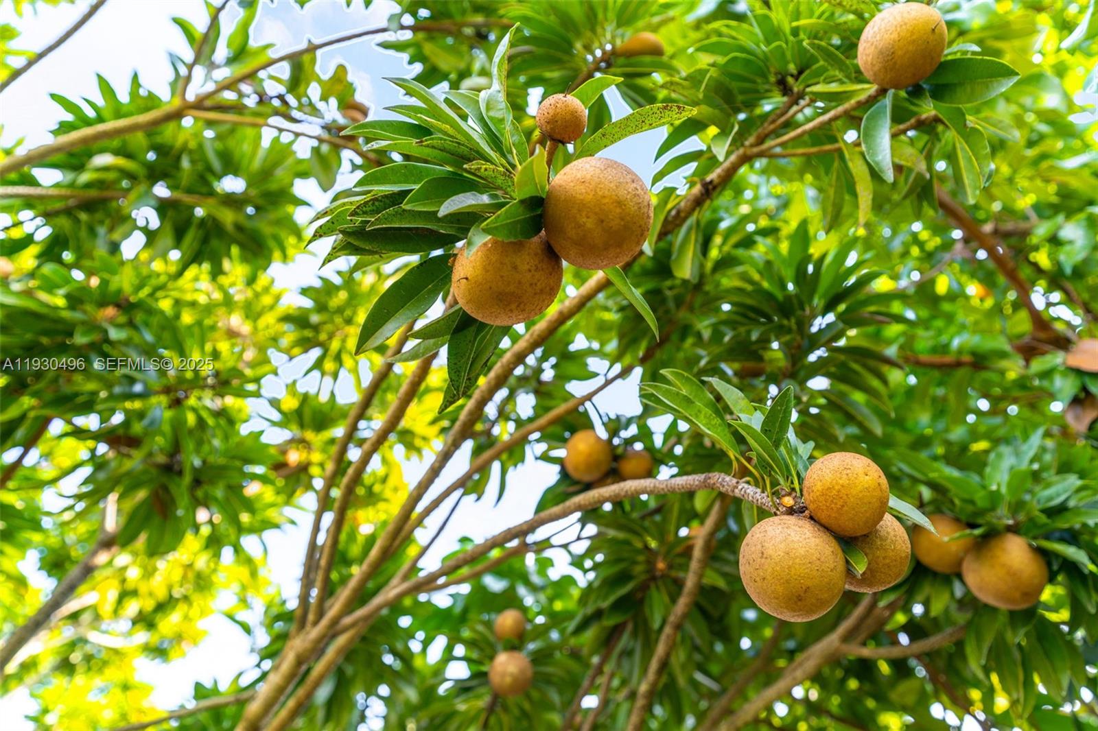 Ver detalles / sq. ft. $ 2025-12-14 0 foto