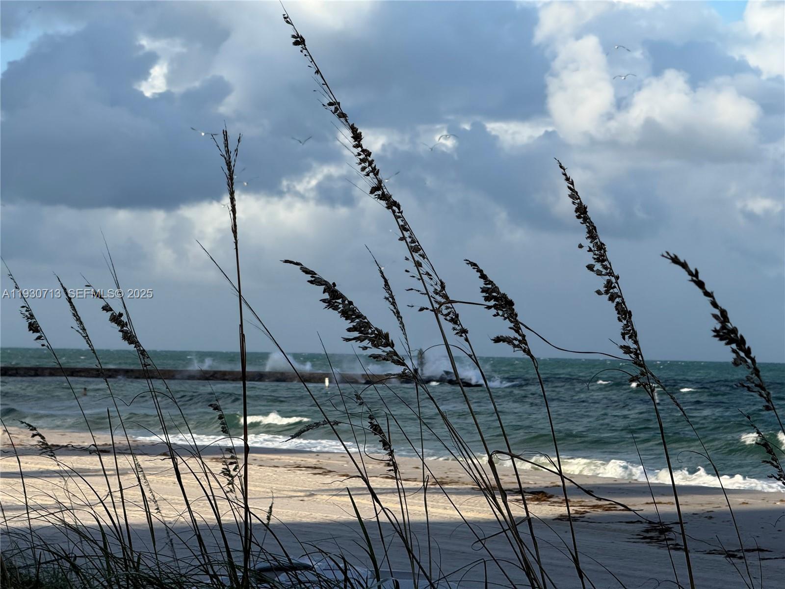 Photo of 9801 Collins Ave  #3Y, Bal Harbour, Florida, 33154 - 