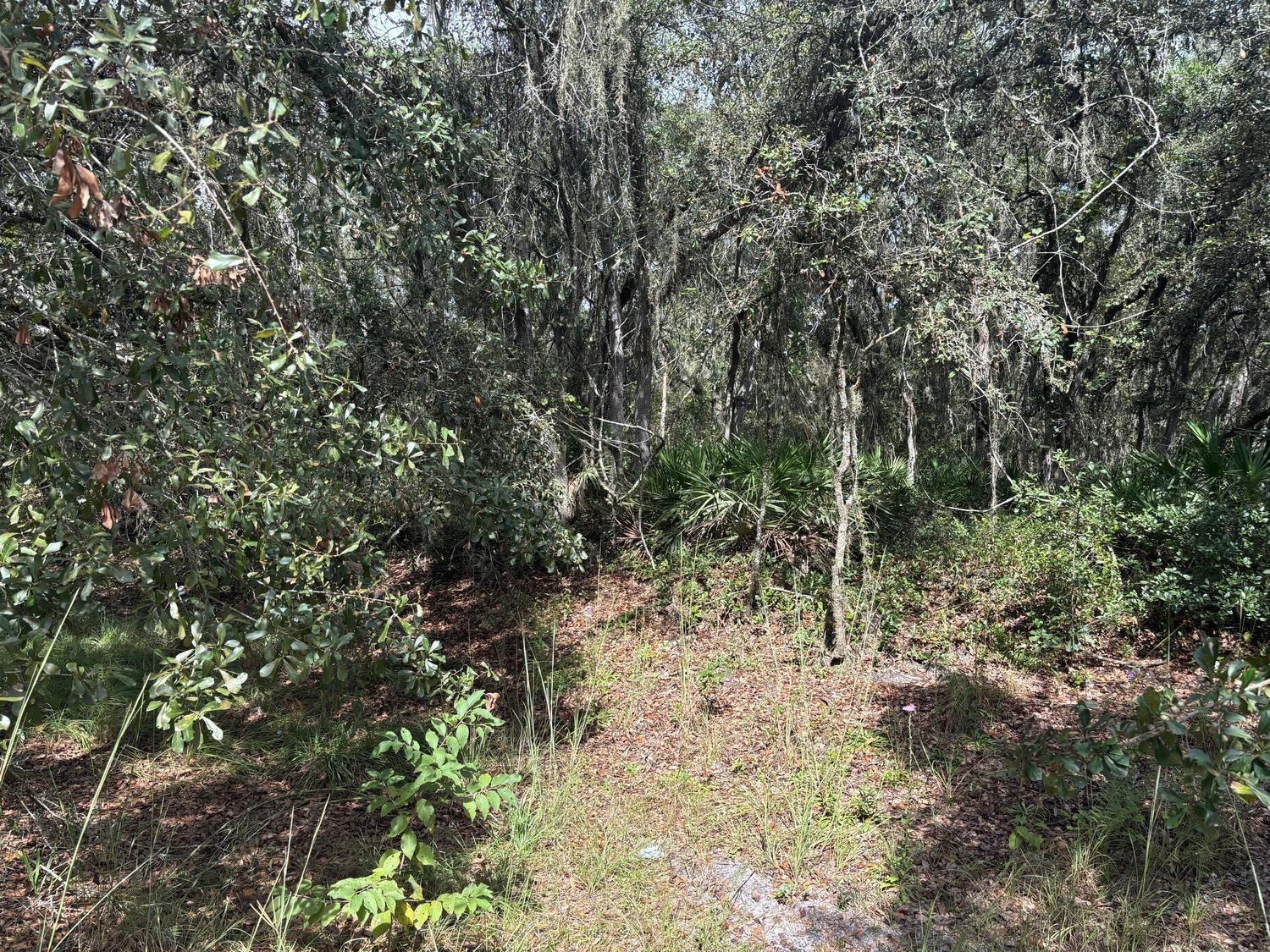   / 0  sq. ft. $ 2026-06-19 0 foto