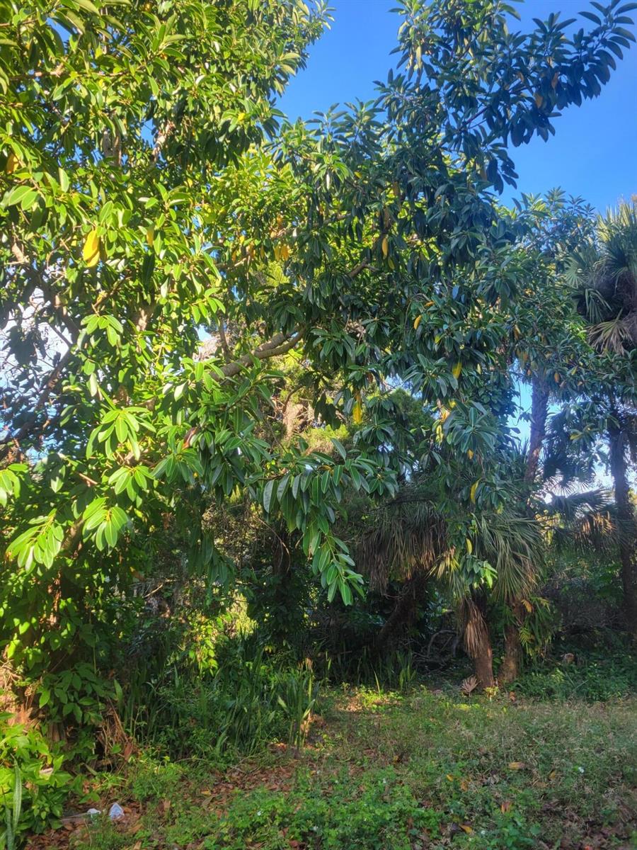 Ver detalles 1817 4 / 2 2434 sq. ft. $ 2026-04-24 0 foto