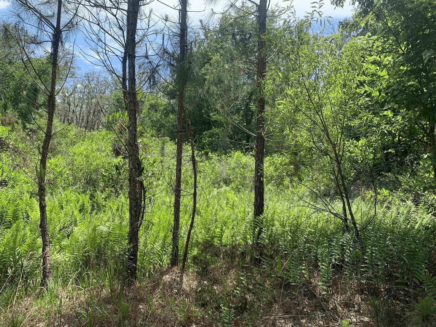 See details / 0 sq. ft. $ 2026-06-19 0 Photo