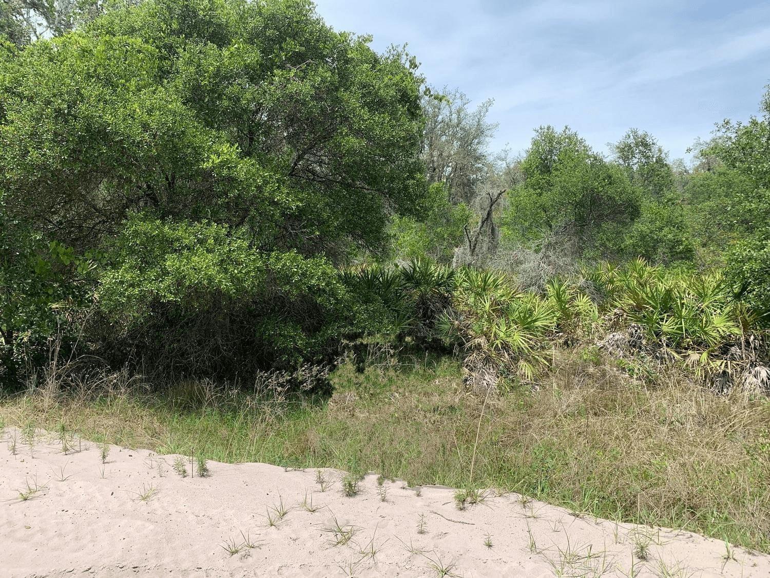   / 0  sq. ft. $ 2026-06-19 0 Photo