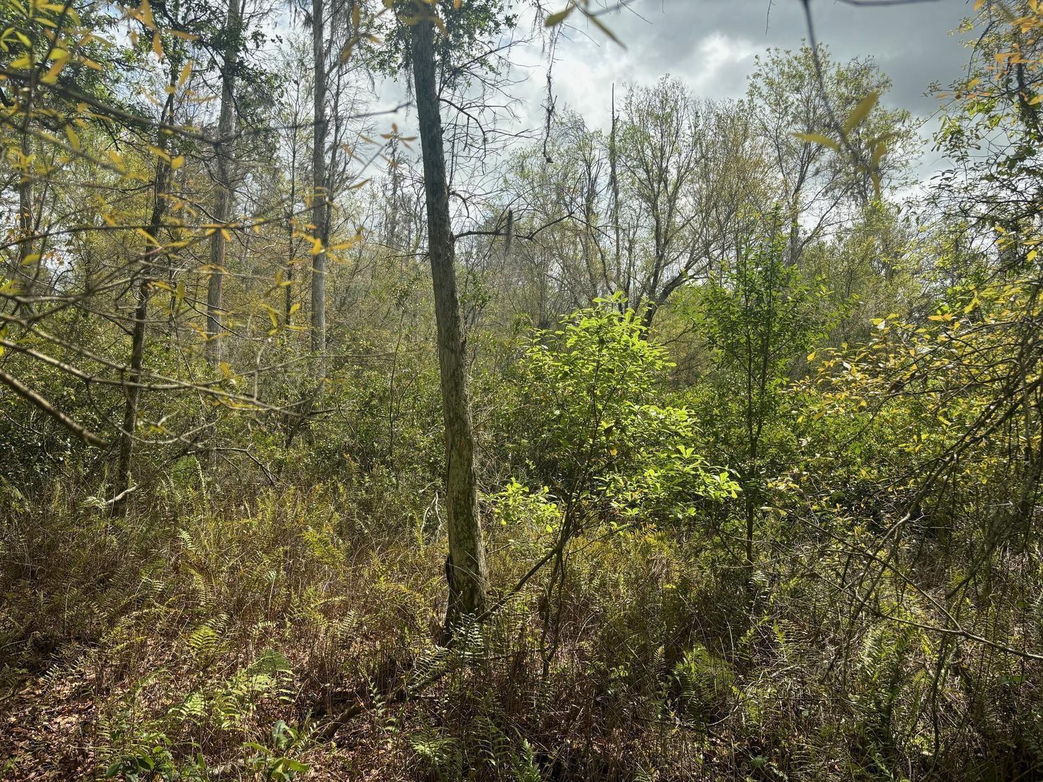   / 0  sq. ft. $ 2026-06-19 0 Photo
