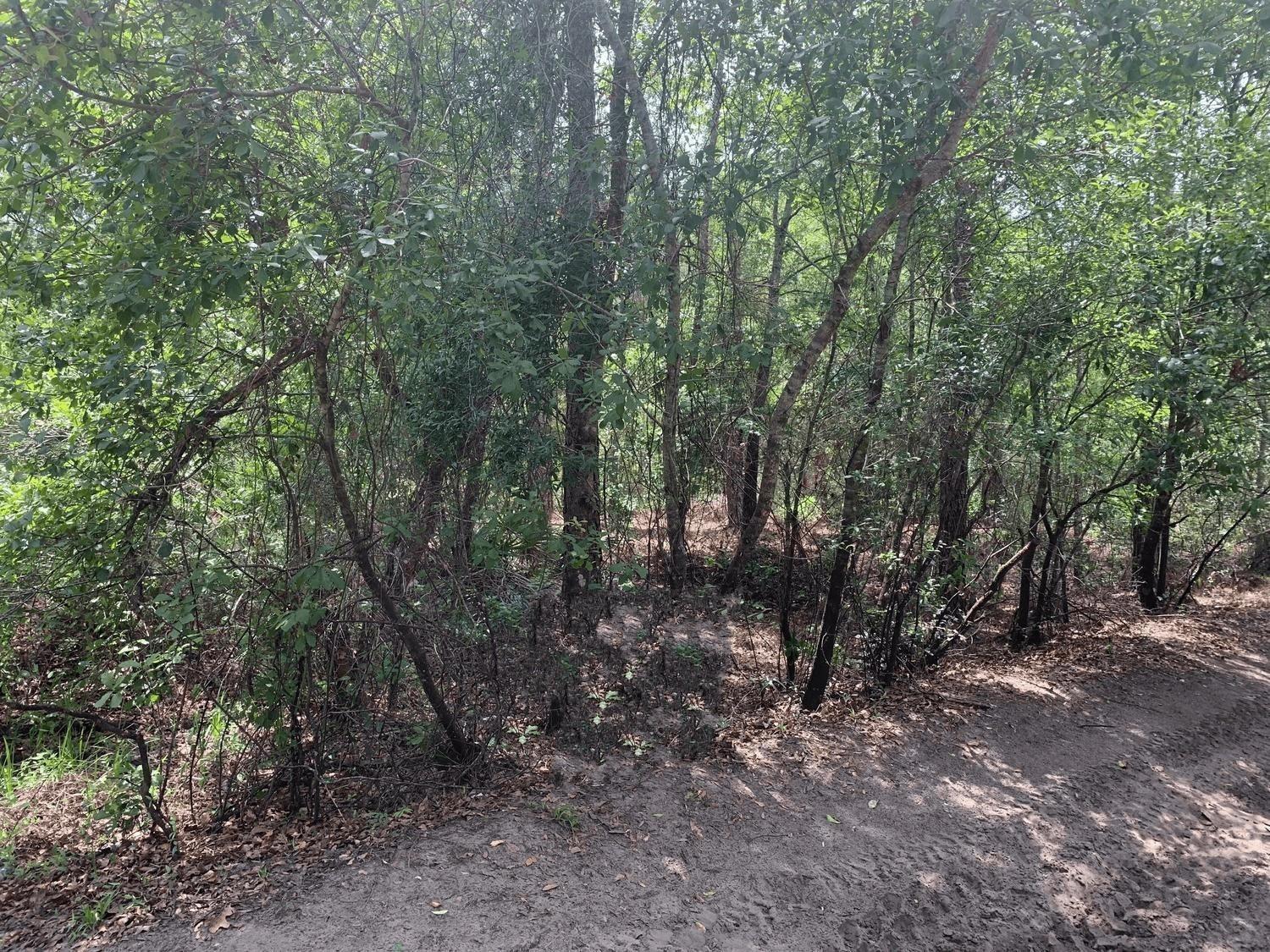 Ver detalles / 0 sq. ft. $ 2026-06-19 0 foto