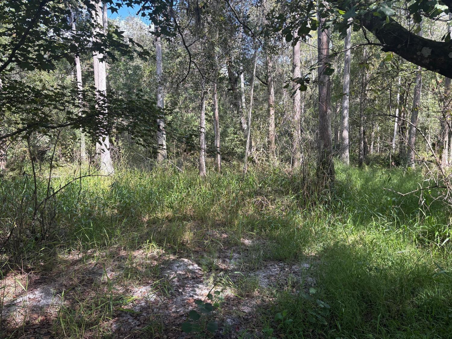   / 0  sq. ft. $ 2026-06-19 0 Photo