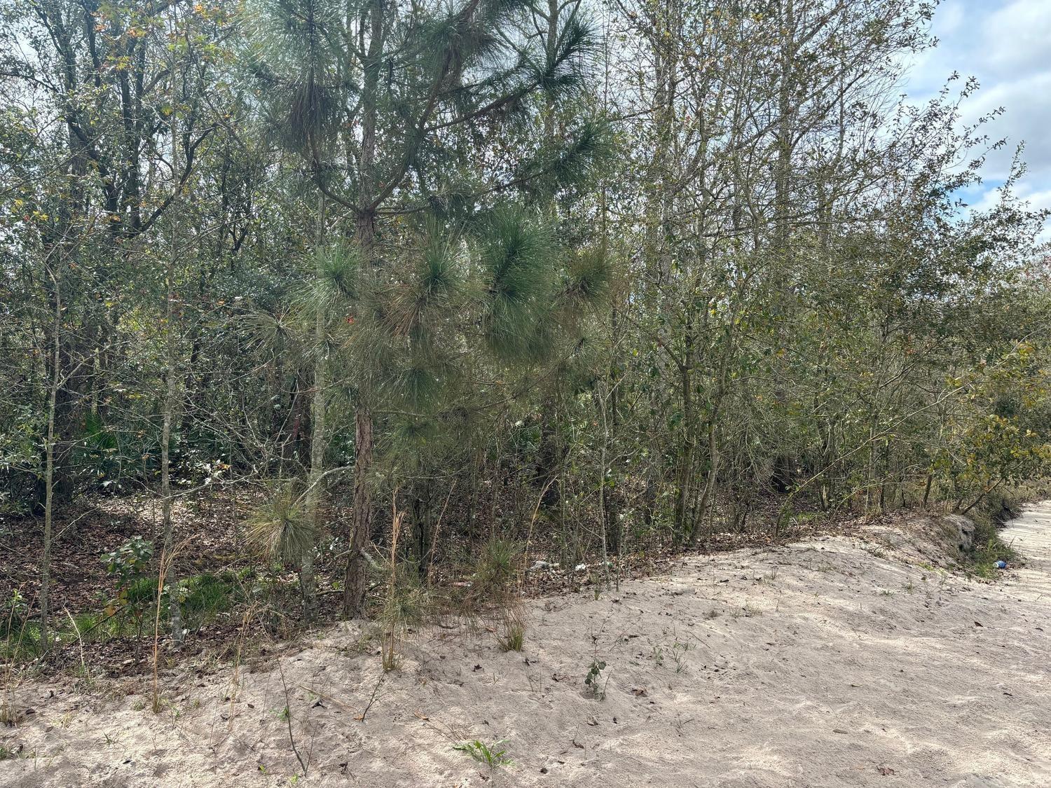 Ver detalles / 0 sq. ft. $ 2026-06-19 0 foto