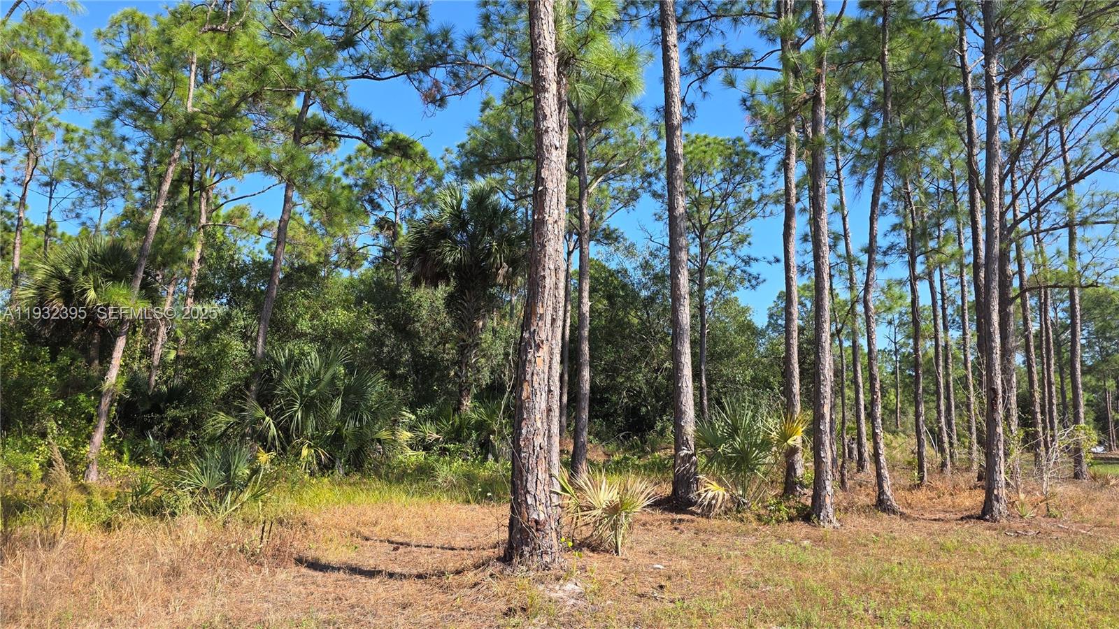   /   sq. ft. $ 2025-12-17 0 foto