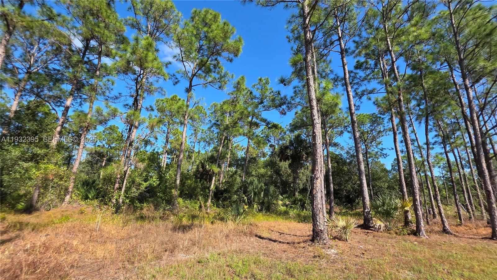   /   sq. ft. $ 2025-12-17 0 foto