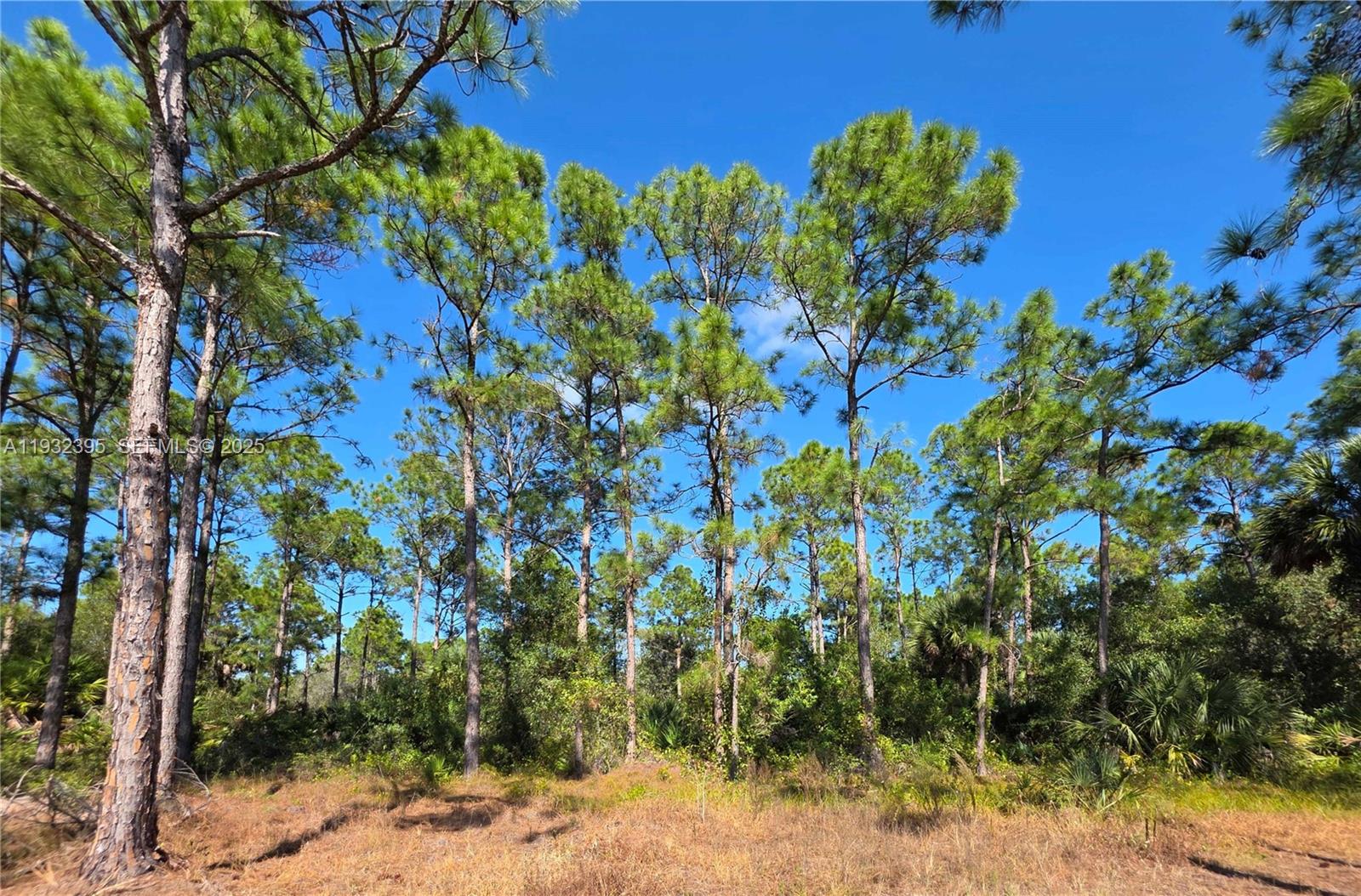   /   sq. ft. $ 2025-12-17 0 foto