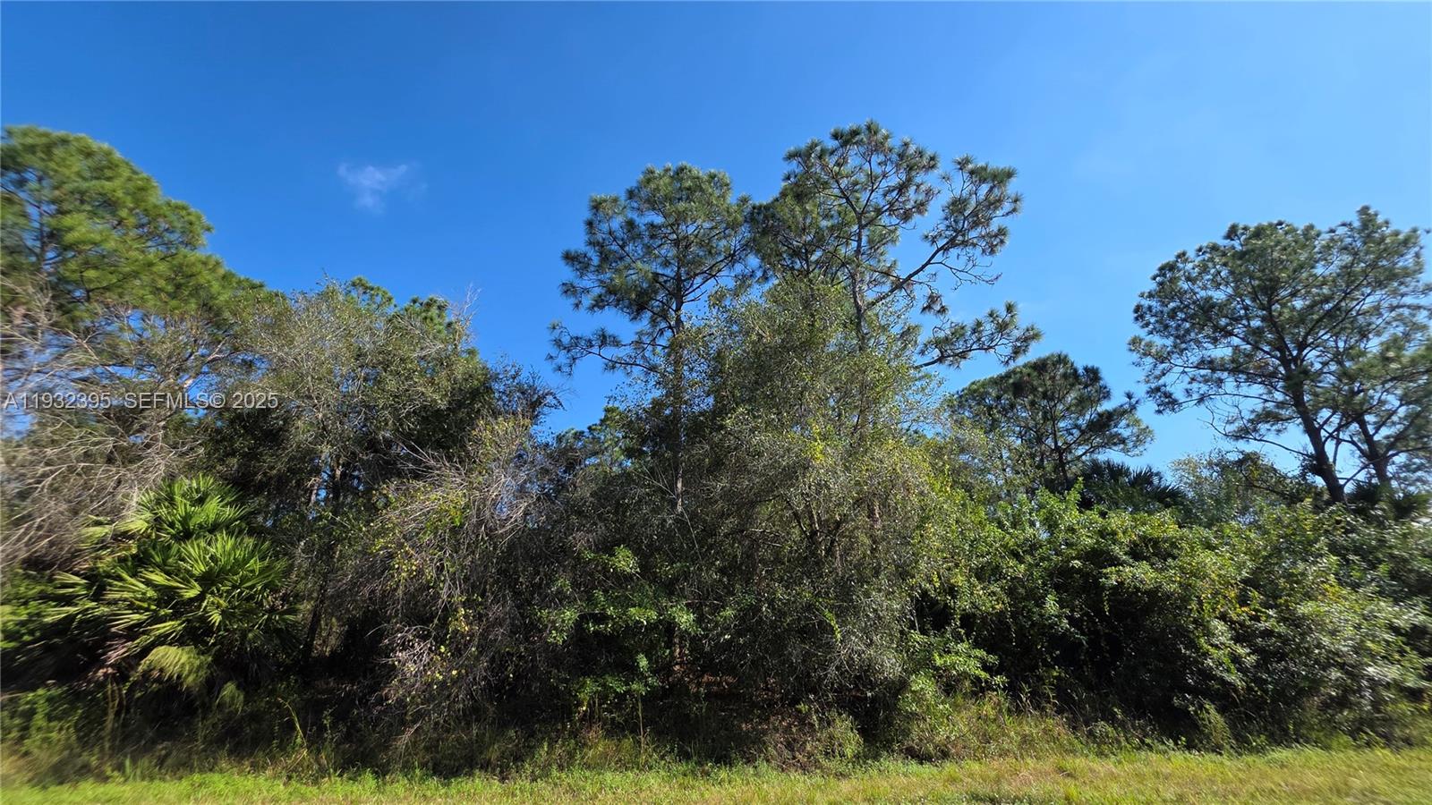   /   sq. ft. $ 2025-12-17 0 foto