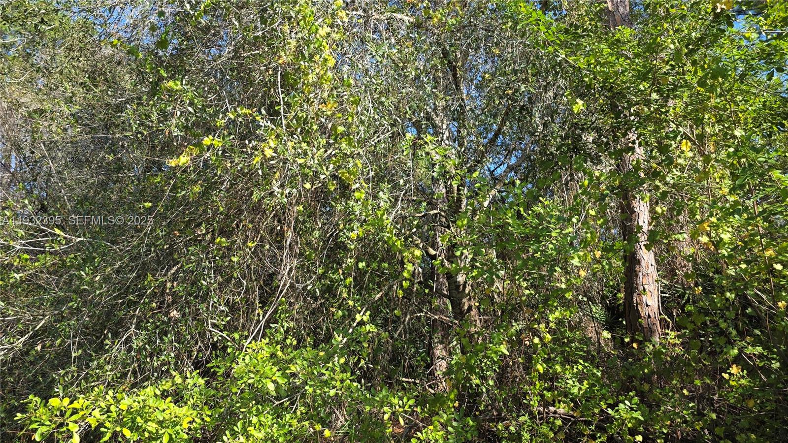   /   sq. ft. $ 2025-12-17 0 foto