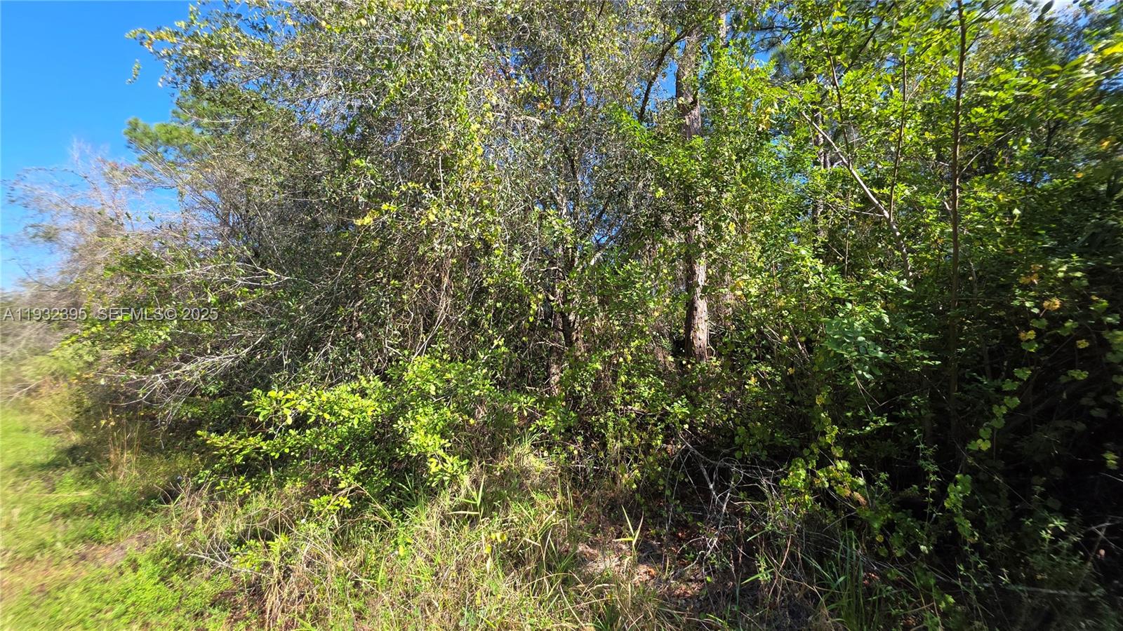   /   sq. ft. $ 2025-12-17 0 foto