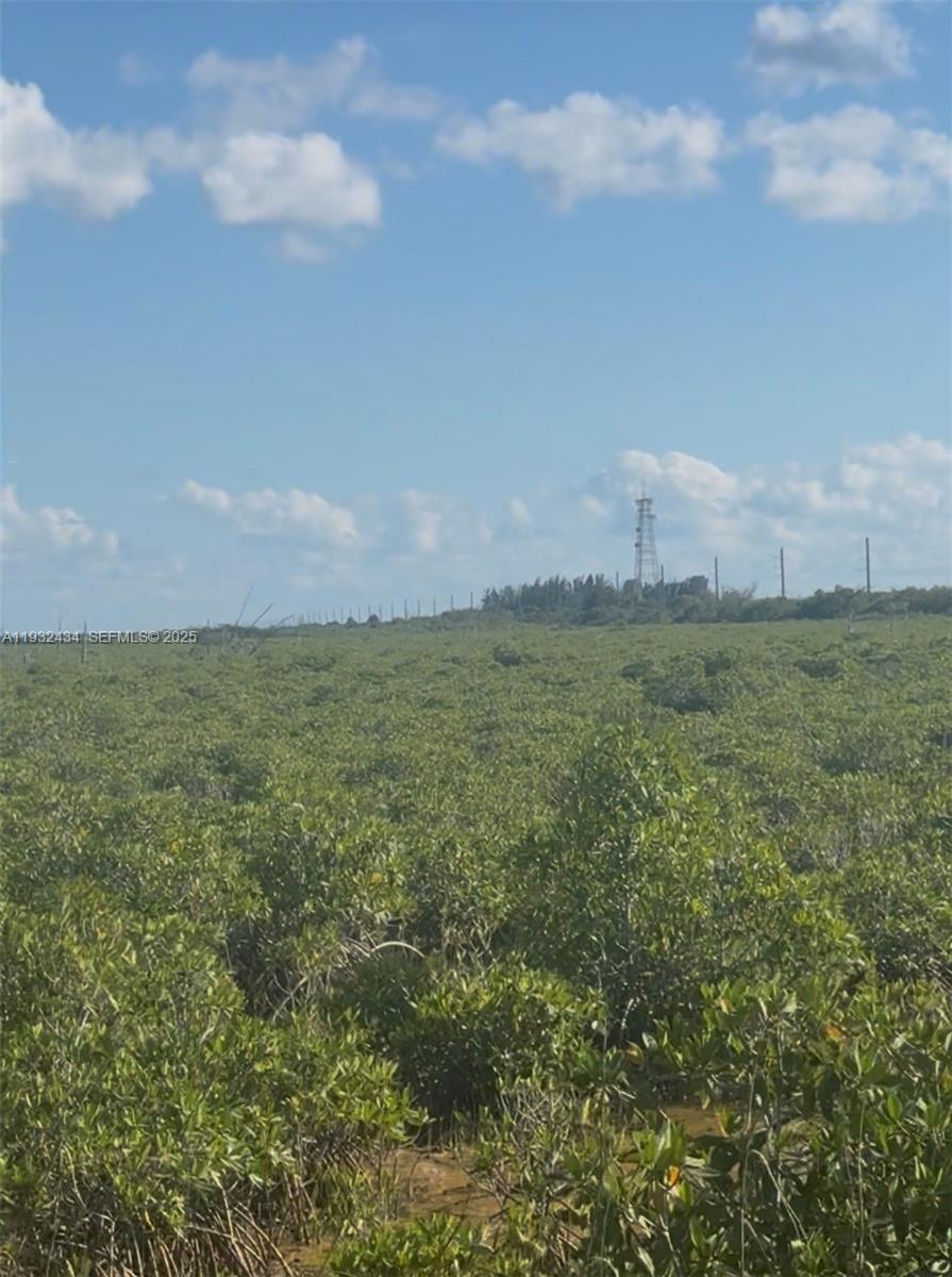   /   sq. ft. $ 2025-12-17 0 Photo