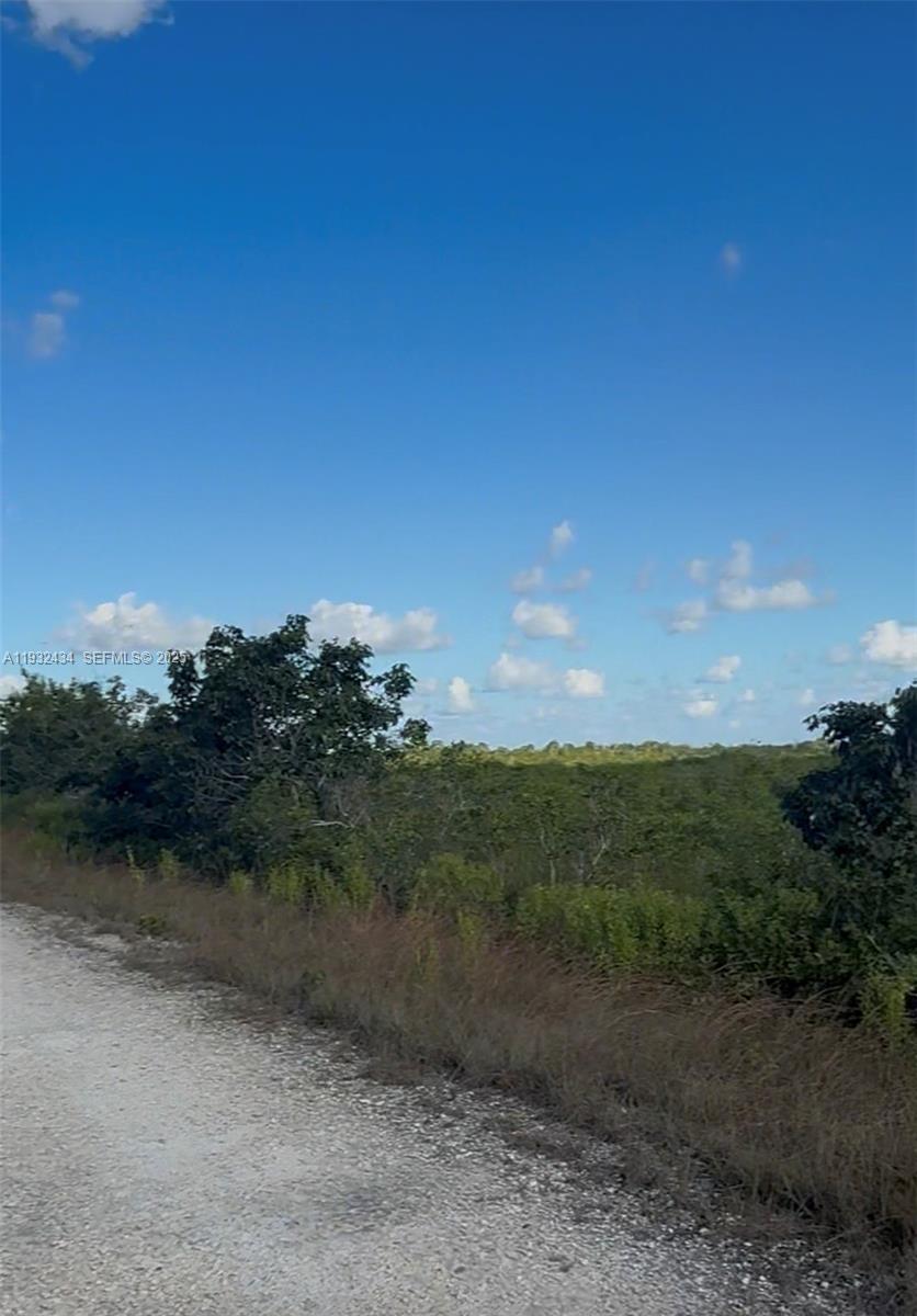   /   sq. ft. $ 2025-12-17 0 Photo