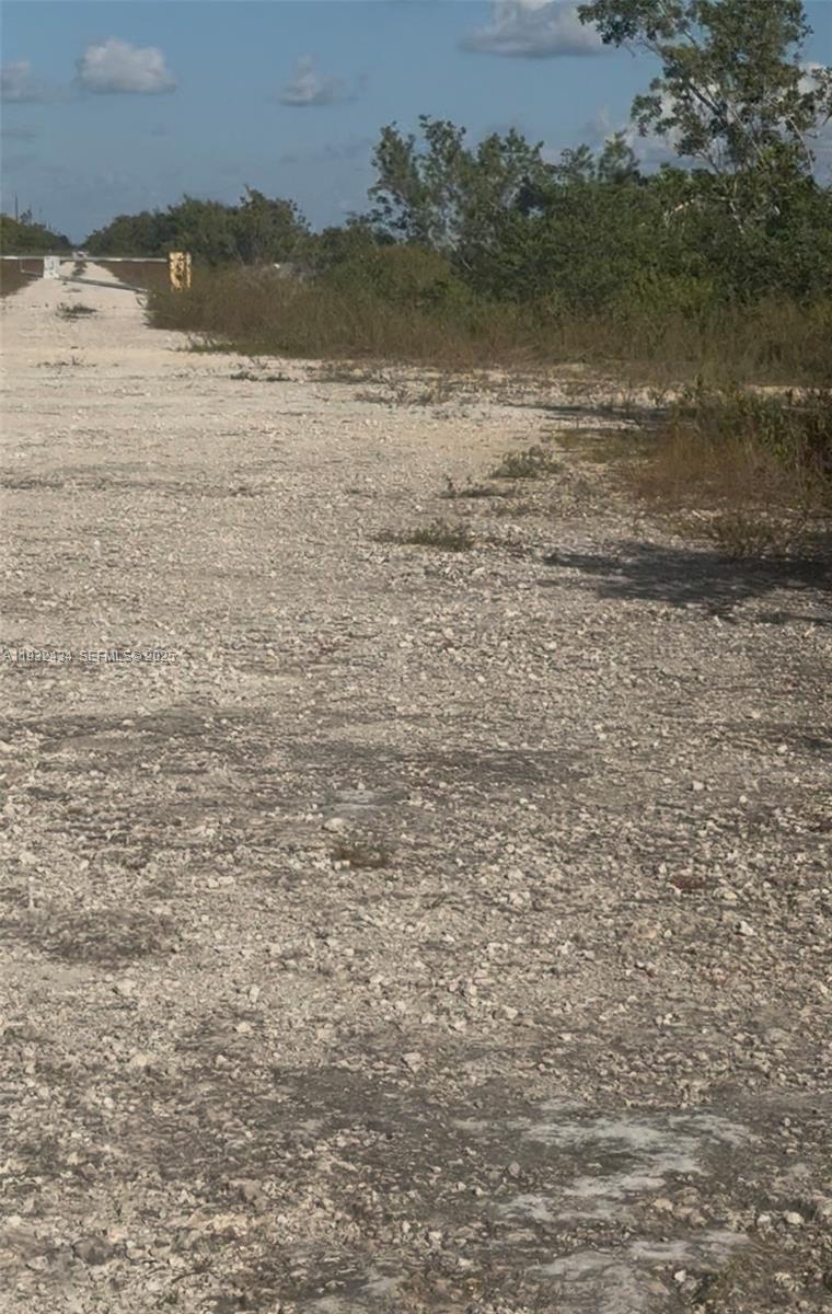   /   sq. ft. $ 2025-12-17 0 Photo