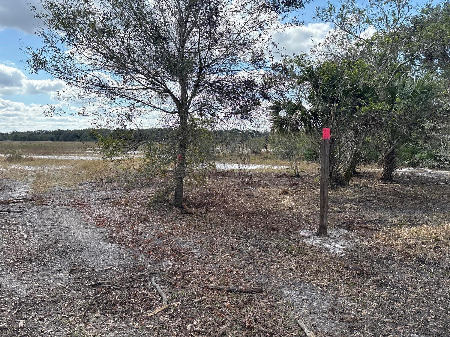 Ver detalles / 0 sq. ft. $ 2026-06-15 0 foto