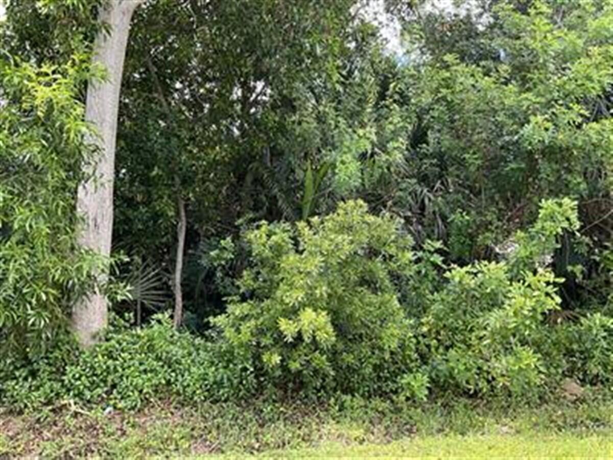 Ver detalles / 0 sq. ft. $ 2026-02-18 0 foto