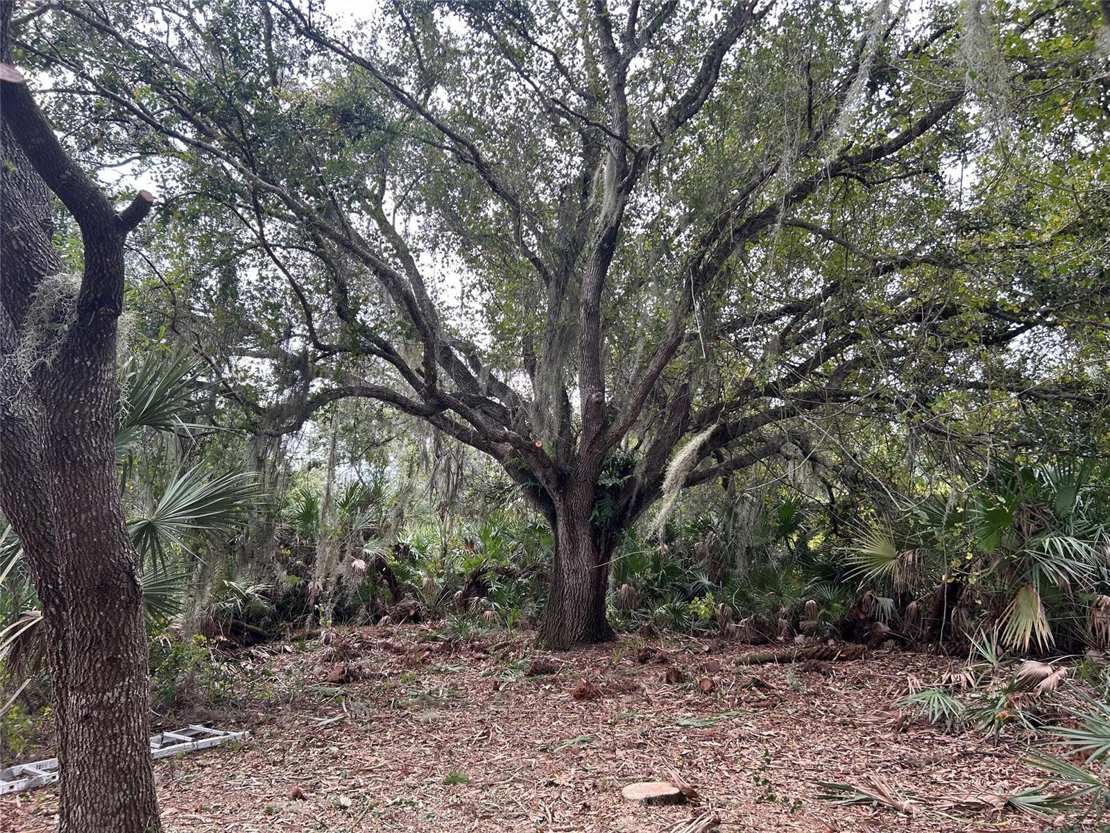   / 0  sq. ft. $ 2026-06-15 0 foto
