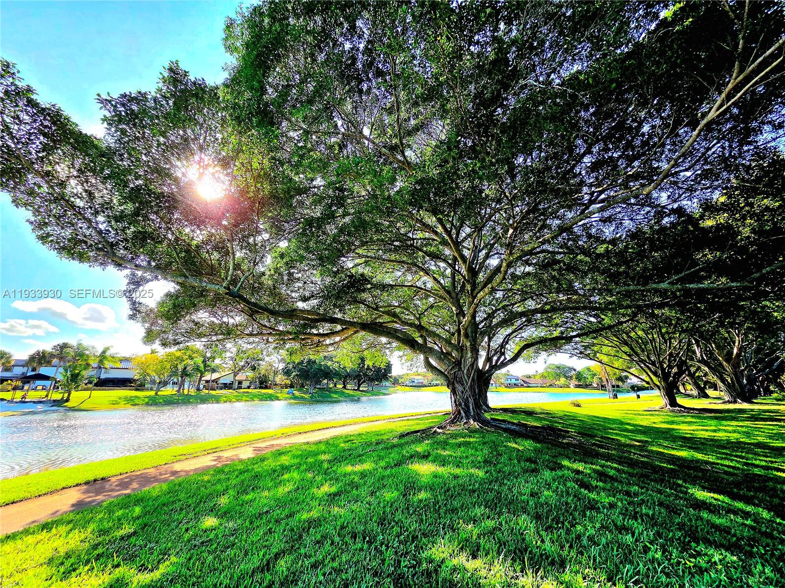 9329 4 / 3 2060 sq. ft. $ 2025-12-21 0 Photo