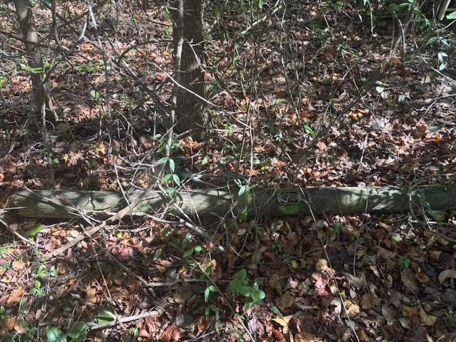   / 0  sq. ft. $ 2026-06-19 0 foto