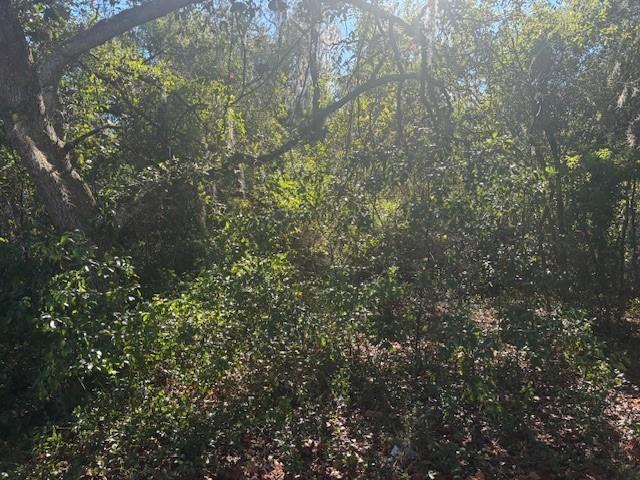   / 0  sq. ft. $ 2026-06-19 0 foto