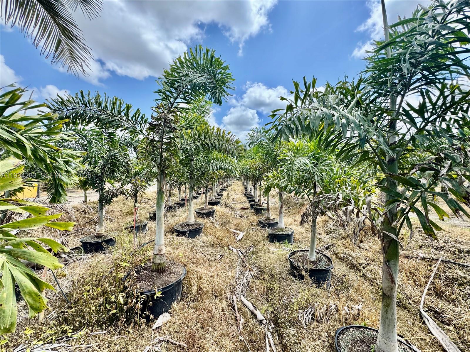   /   sq. ft. $ 2025-12-22 0 Photo