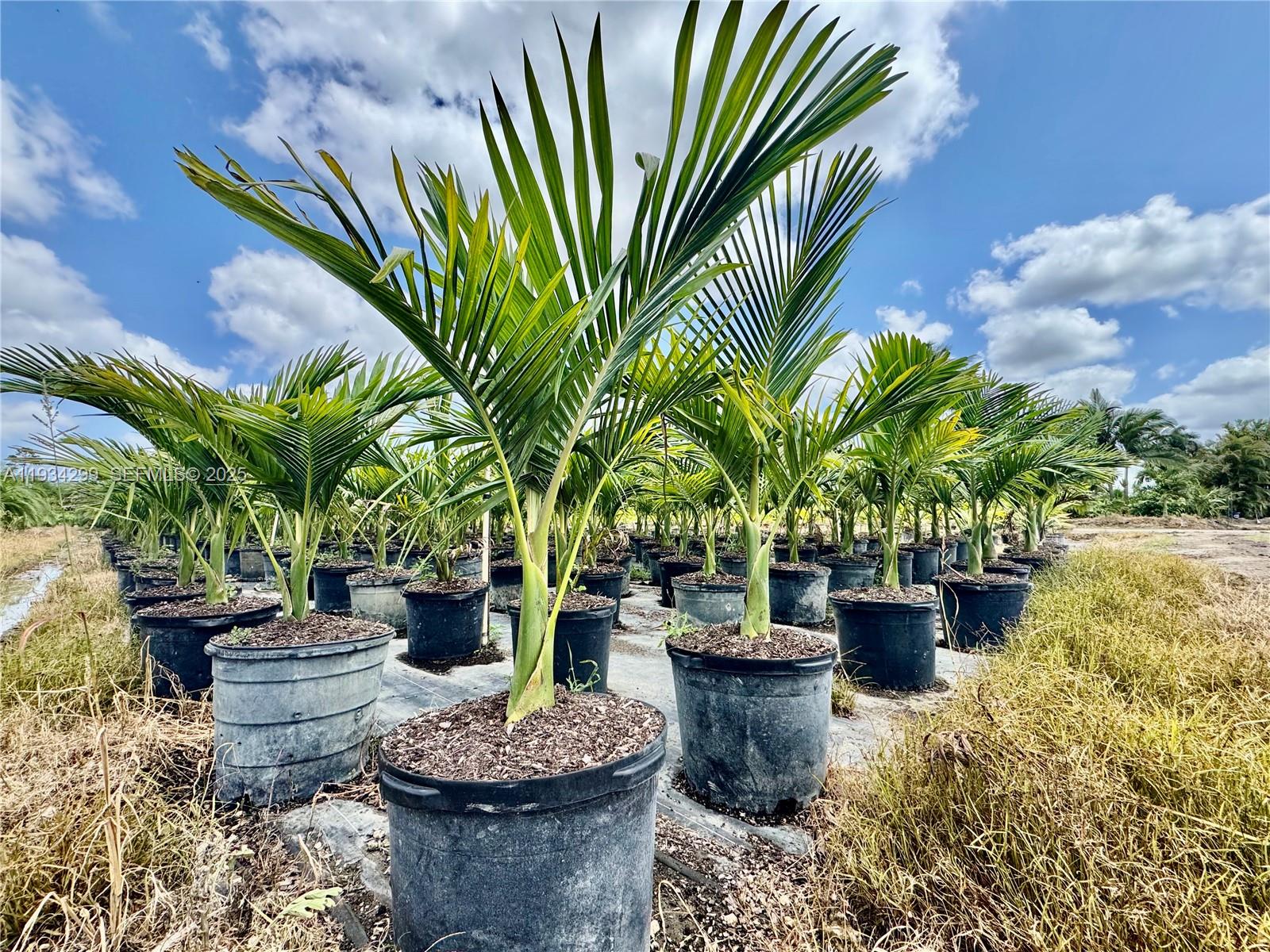   /   sq. ft. $ 2025-12-22 0 Photo