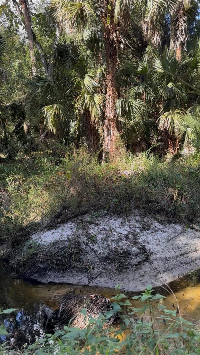 Ver detalles / 0 sq. ft. $ 2026-01-27 0 foto