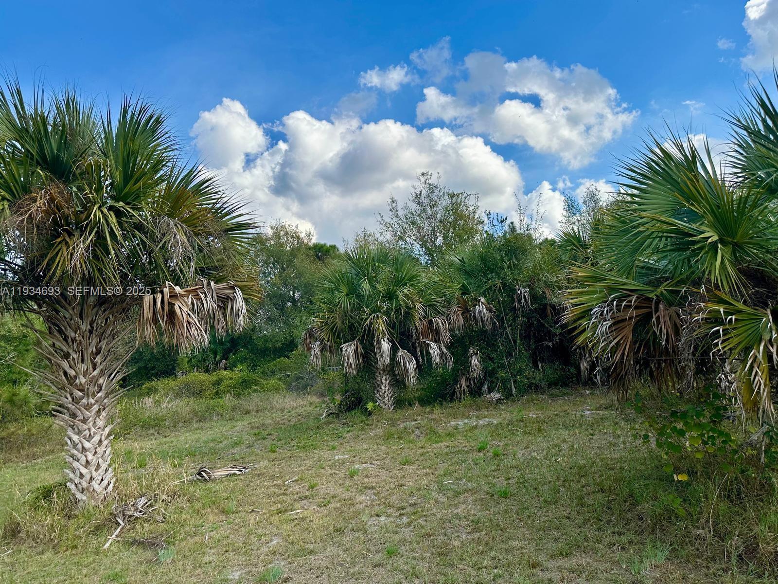   /   sq. ft. $ 2025-12-23 0 foto