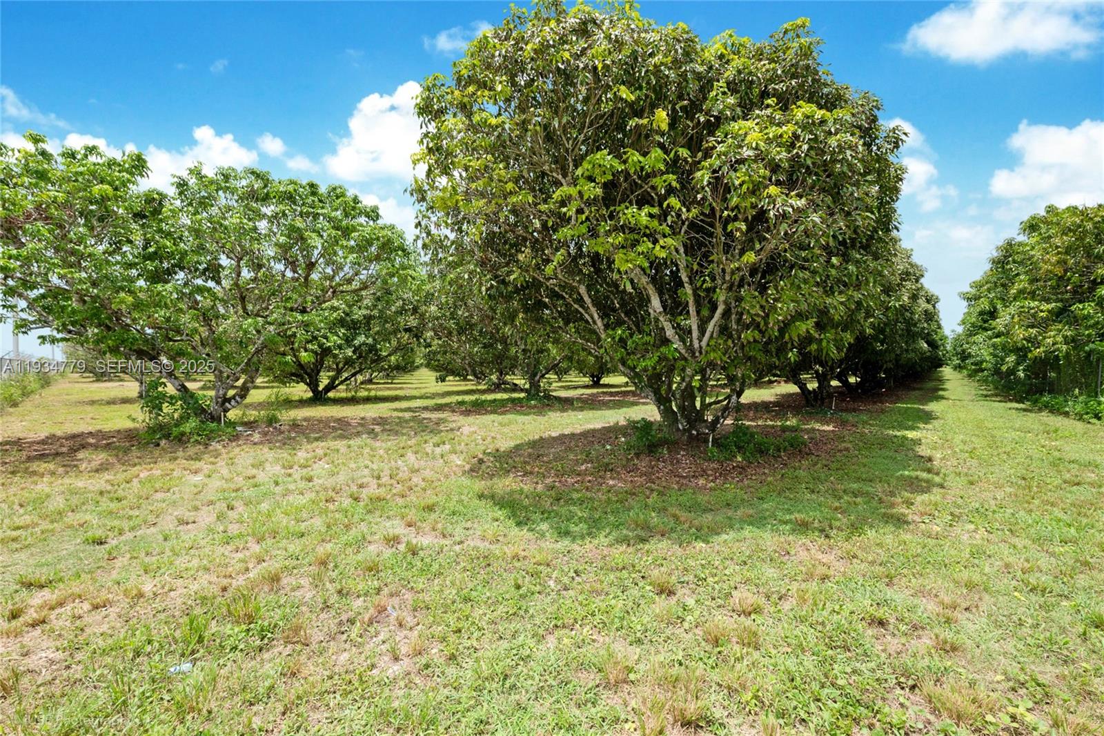 Подробнее / кв.футов $ 2025-12-23 0 Фото